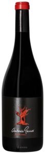 Jorge Piernas, Antonio Piernas Monastrell, VdM