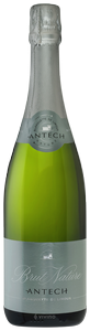 Antech, Expression Brut, Limoux