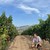 Alzania, Gardacho Garnacha, Navarra