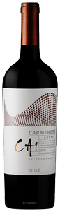 Terranoble, CA1 Carmenere Andes, Colchagua Valley