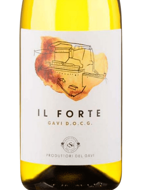 Produttori del Gavi, Gavi, Il Forte