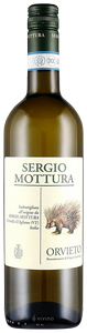Sergio Mottura, Magone, Lazio