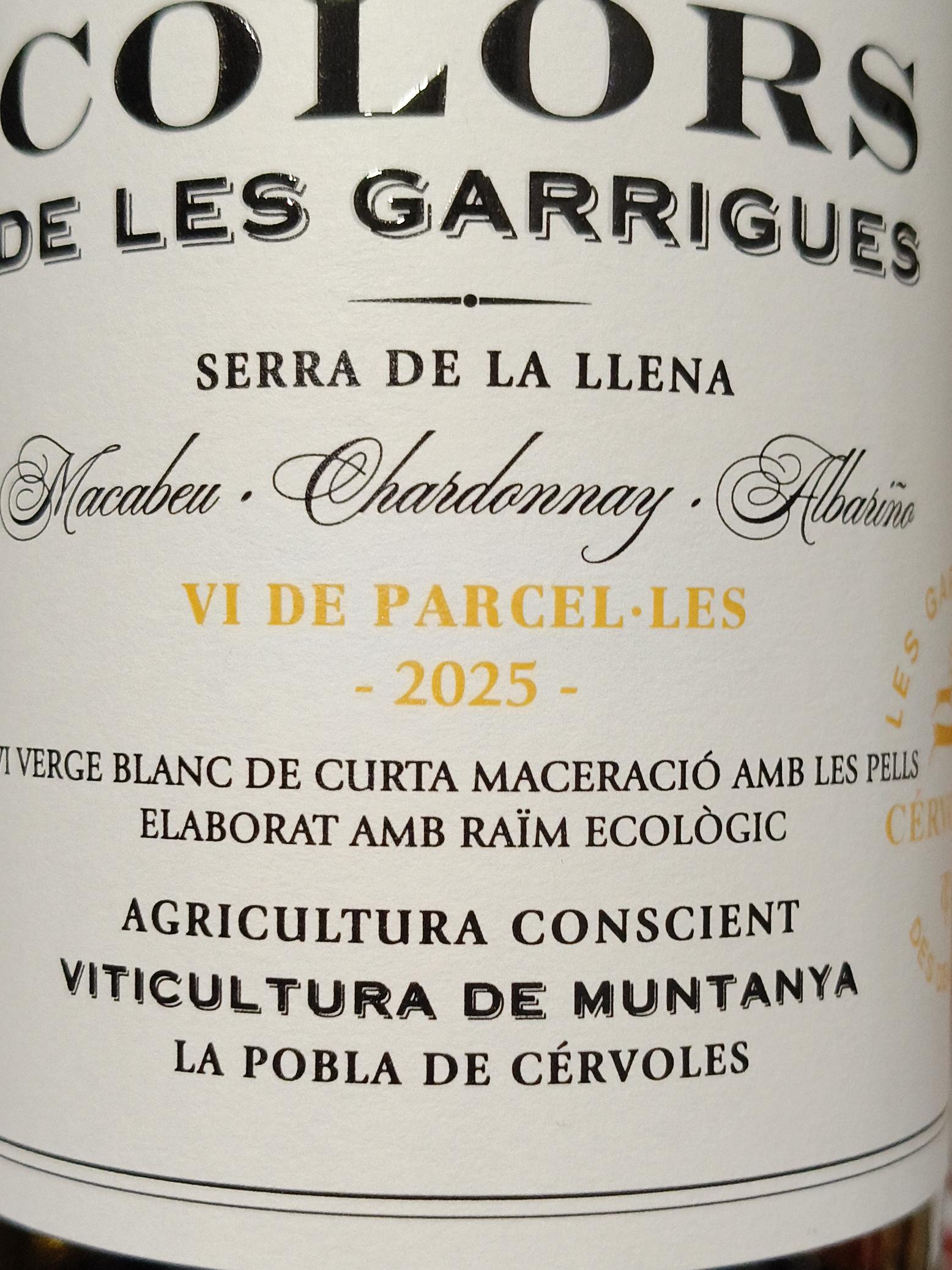 Cervoles, Costers del Segre, Cervoles Blanc