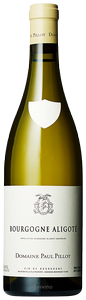 Domaine Paul Pillot, Bourgogne Aligote