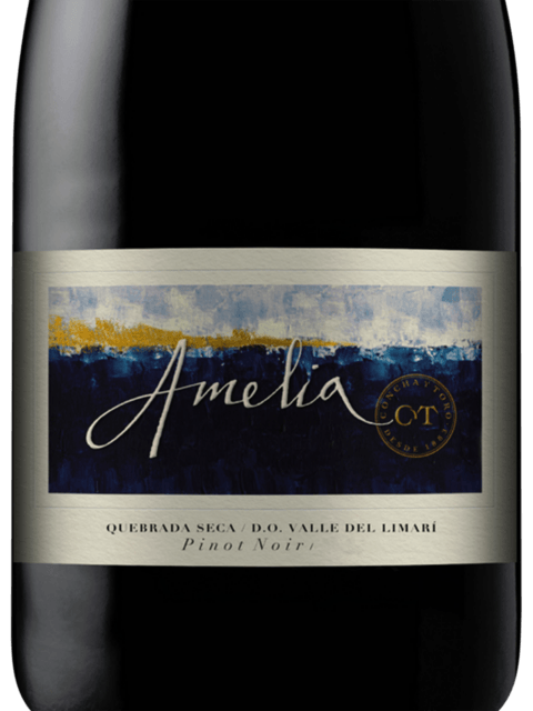 Concha Y Toro, Frontera Pinot Noir, Central Valley