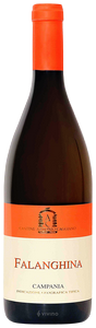 Cantine Antonio Caggiano, Falanghina, Campania