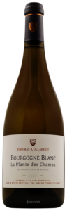Thomas-Collardot, Bourgogne, La Plante des Champs
