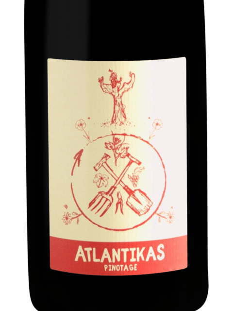 Scions of Sinai, Feniks, Stellenbosch