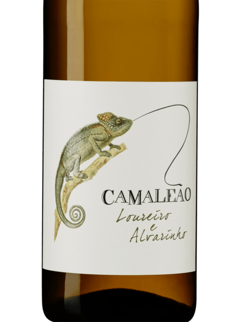 J. Cabral Almeida, Omnia Branco, Douro