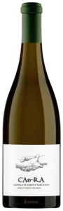 Raul Tamayo Bermejo, Churrillo de Bodega, VdM