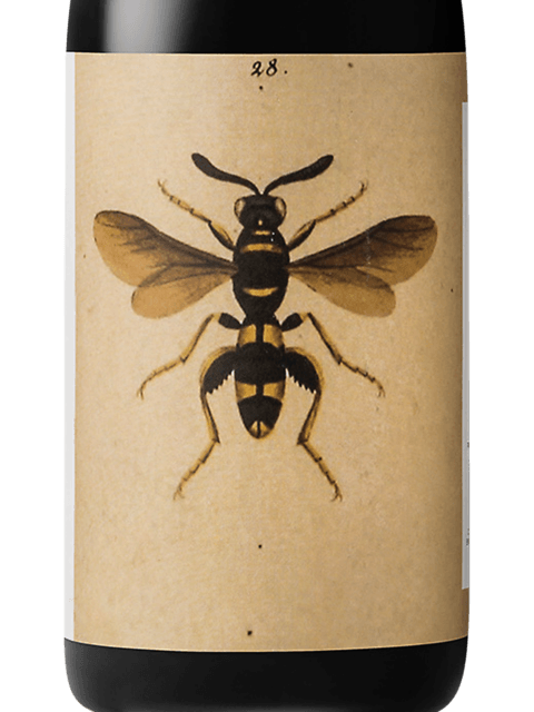 Noelia Ricci, Sangiovese di Predappio, Romagna