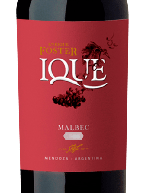 Enrique Foster, Ique Malbec, Mendoza