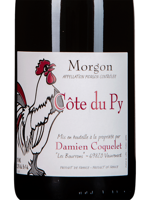 Damien Coquelet, Cote du Py , Morgon