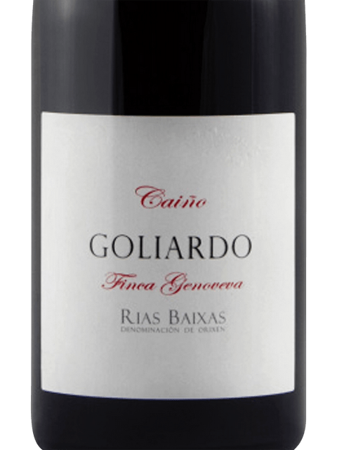 Forjas del Salnes, Rias Baixas, Goliardo Finca Genoveva Caino