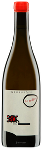 Judith Beck, Bambule Neuburger, Burgenland