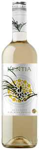 Lagar da Condesa, Kentia, Rias Baixas