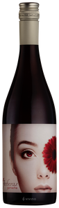 Emporio Garnacha Gerberas