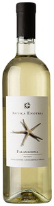 Antica Enotria, Falanghina, Puglia