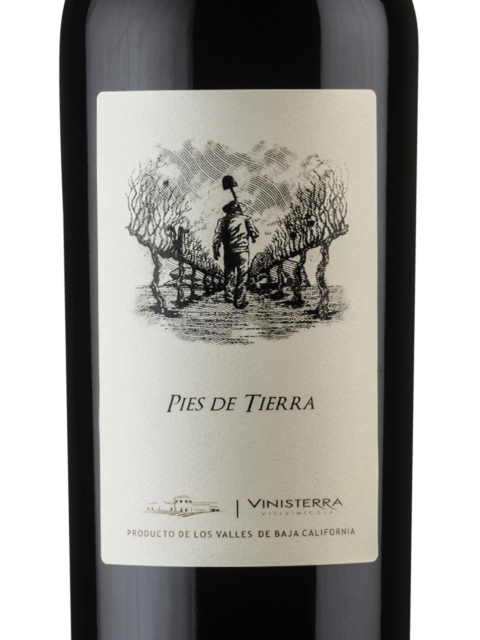 Vinisterra, Pies de TIerra, Baja California