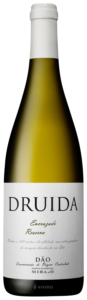 Druida, Reserva Encruzado, Dao