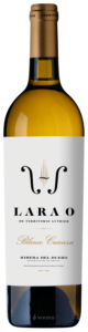 Territorio Luthier, Lara O Blanco, Ribera del Duero