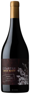 La Ronciere, Quiron Shiraz, Curico Valley