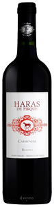 Haras Pirque, Carmenere, Maipo Valley