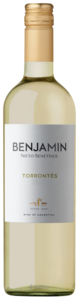 Nieto Senetiner, Benjamin Torrontes, Mendoza
