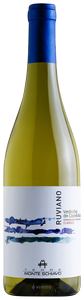 Monte Schiavo, Verdicchio dei Castelli di Jesi, Classico Ruviano