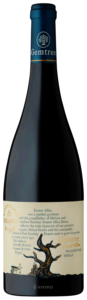 Gemtree, Ernest Allan Shiraz, McLaren Vale