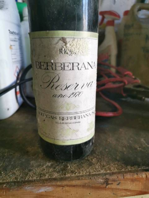 Berberana, Dragon Reserva, Catalunya