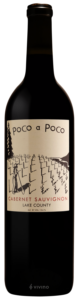 Pico A Pico, Sauvignon Blanc, Central Valley