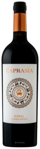 Vegalfaro, Caprasia Bobal Crianza Anfora, Los Balagueses
