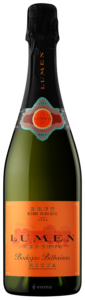 Bodega Bilbainas, Ederra Reserva, Rioja