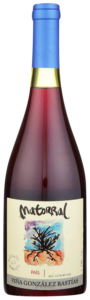 Gonzalez Bastias, Pais Matorral, Maule Valley