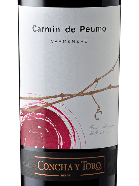 Concha Y Toro, Terrunyo Carmenere, Aconcagua