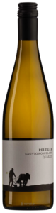 Pfluger, Quarzit Sauvignon Blanc, Pfalz