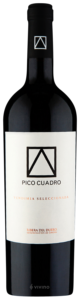 Pico Cuadro, Ribera del Duero, Vendimia Seleccionada