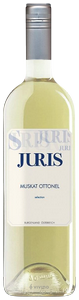 Juris, Muskat Ottonel Selection, Burgenland